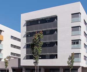 Cream White 크림 화이트